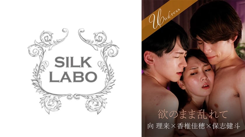 随心所欲地乱来~向理来~保志健斗~香椎佳穂~220SILKU-101